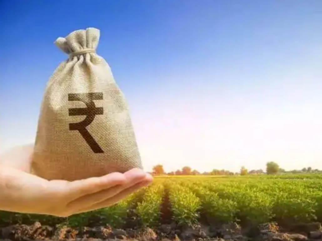 किसानां नै सरकार को तोहफ़ो: केंद्र सरकार आपणा किसानां सारू दाळ-दहळन री खरीद अर न्यूनतम समर्थन मूल्य (MSP) बाबत एक खास ऐलान करियो है।